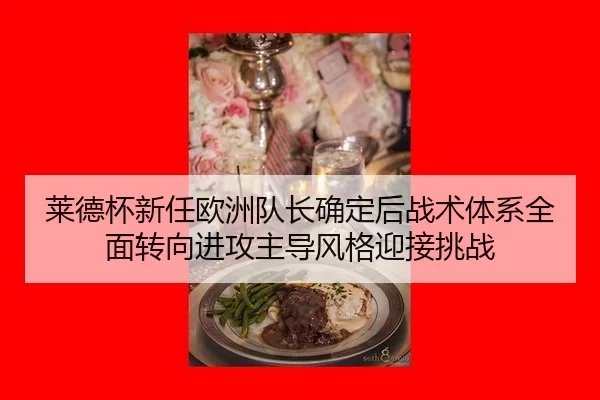 lai-de-bei-xin-ren-ou-zhou-dui-zhang-que-ding-hou-zhan-shu-ti-xi-quan-mian-zhuan-xiang-jin-gong-zhu-dao-feng-ge-ying-2-238.jpg